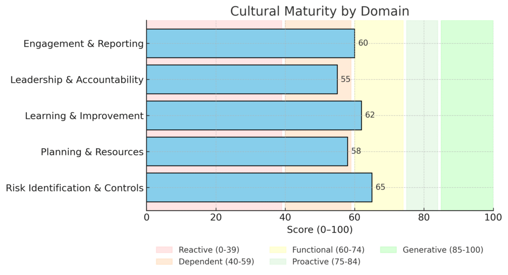 Surveys cultural maturity bar